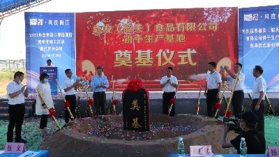 pp�������޹�˾�عس������ص������Բ���ɹ���