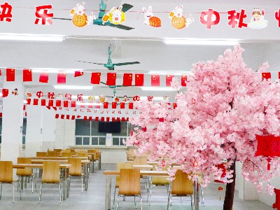 pp����-��������