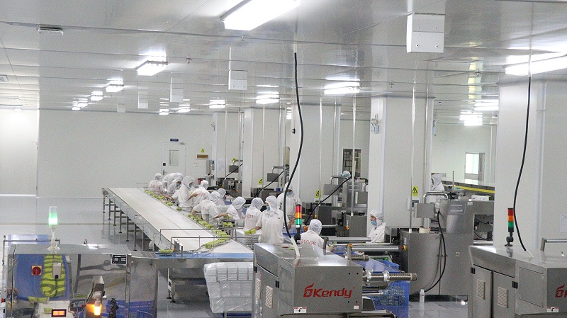 pp���ӳ�������