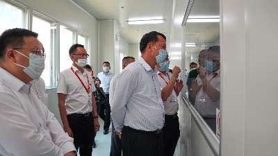 �ع�����������������pp����