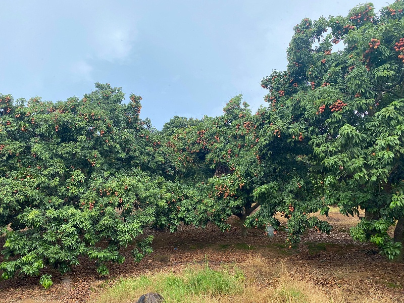 ���縣����pp������֯ժ��֦�