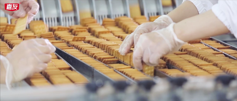 pp����������·��������