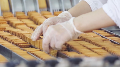 pp����������·��������